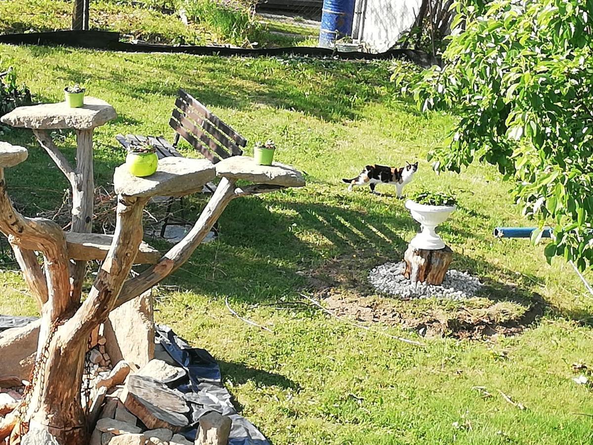 Mk * Nove Hrady (Ceske Budejovice)